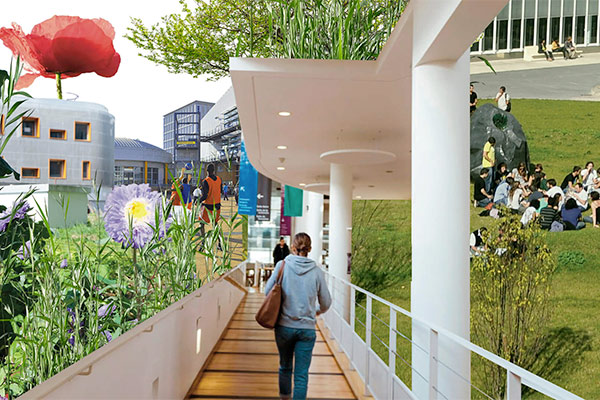 Responsabilités environnementales et sociétales