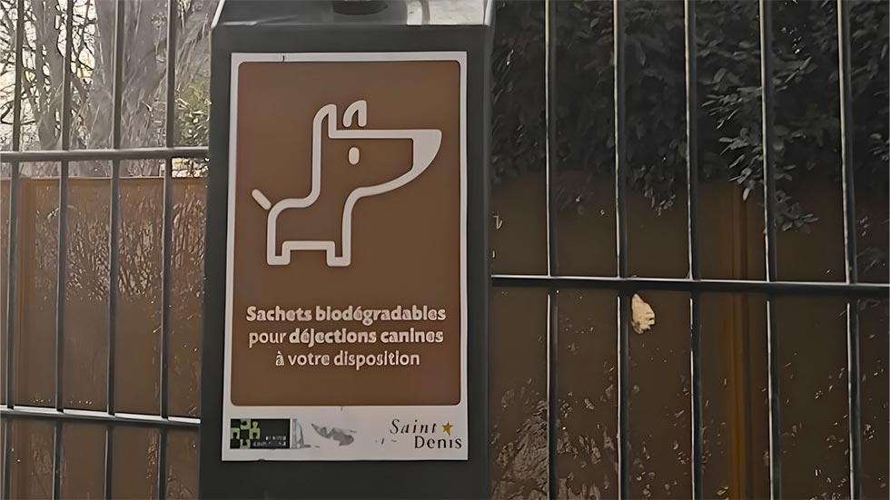 Illustration Exposition - Quand le chien transforme la ville