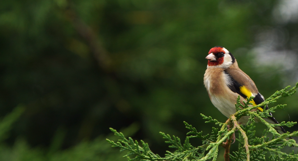 Illustration Vacances de printemps - Du 18 au 26 avril 2026 inclus