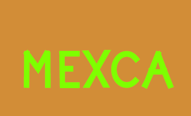 Master Médiation, Exposition, Critique (MEXCA)